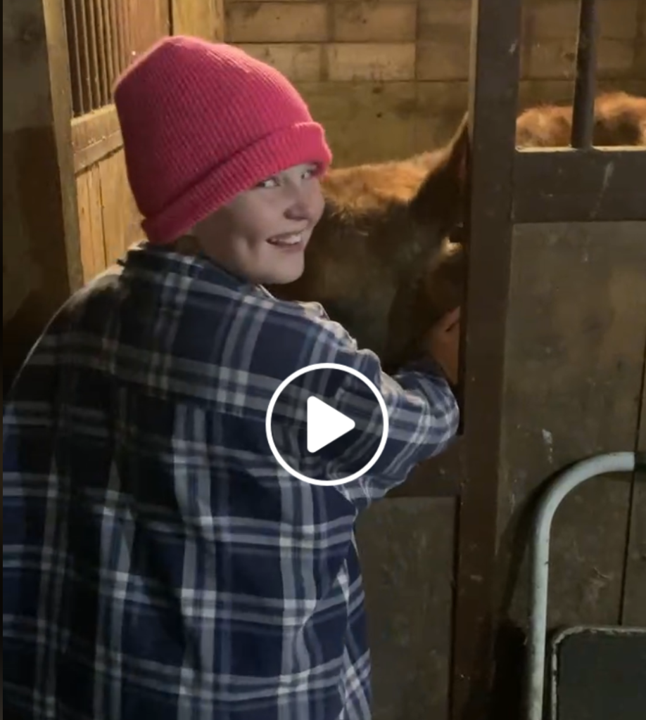 Raw A2 Milk from Jersey Cow on Minnesota Regenerative Farm.