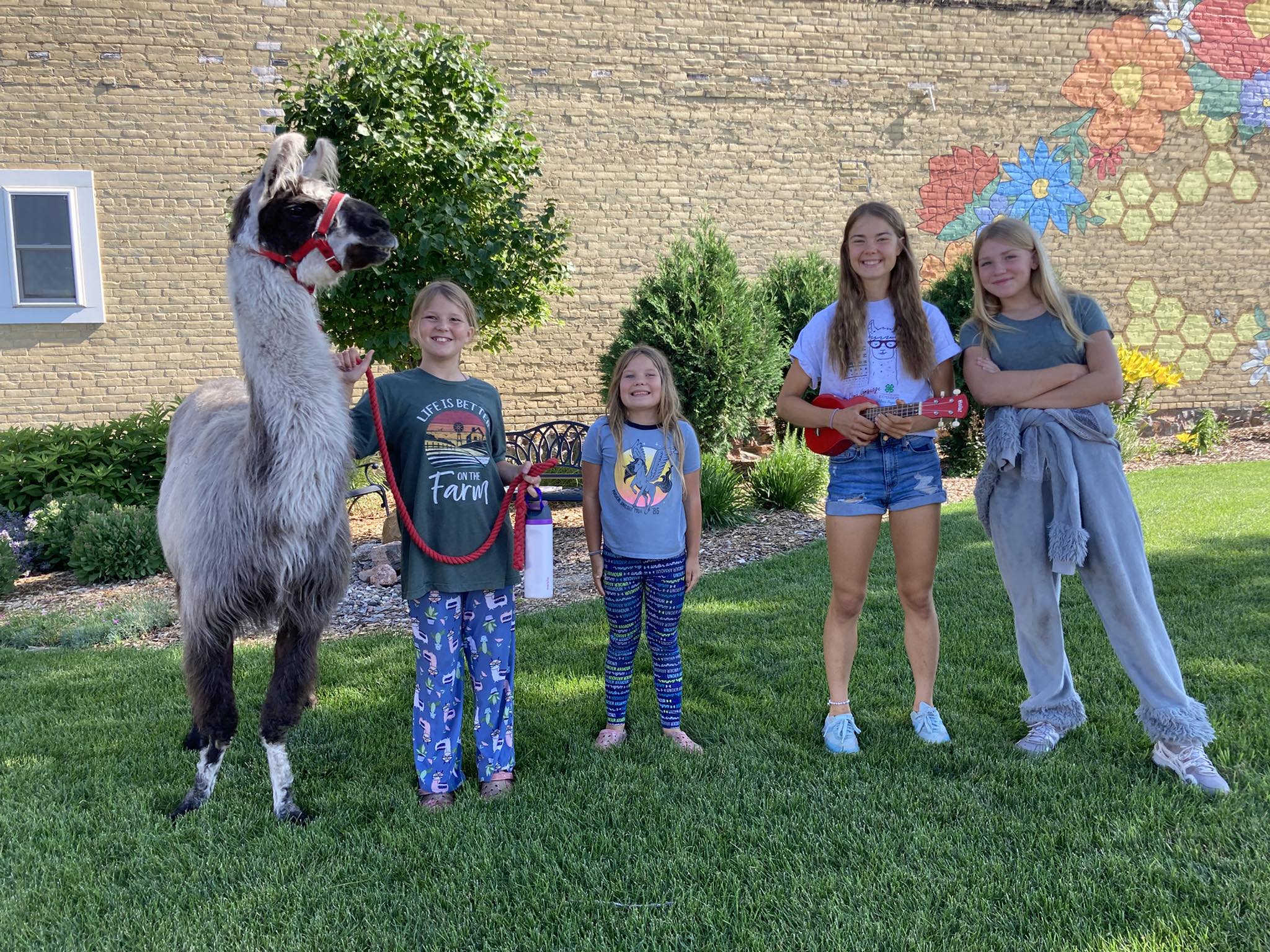 Kids with llama